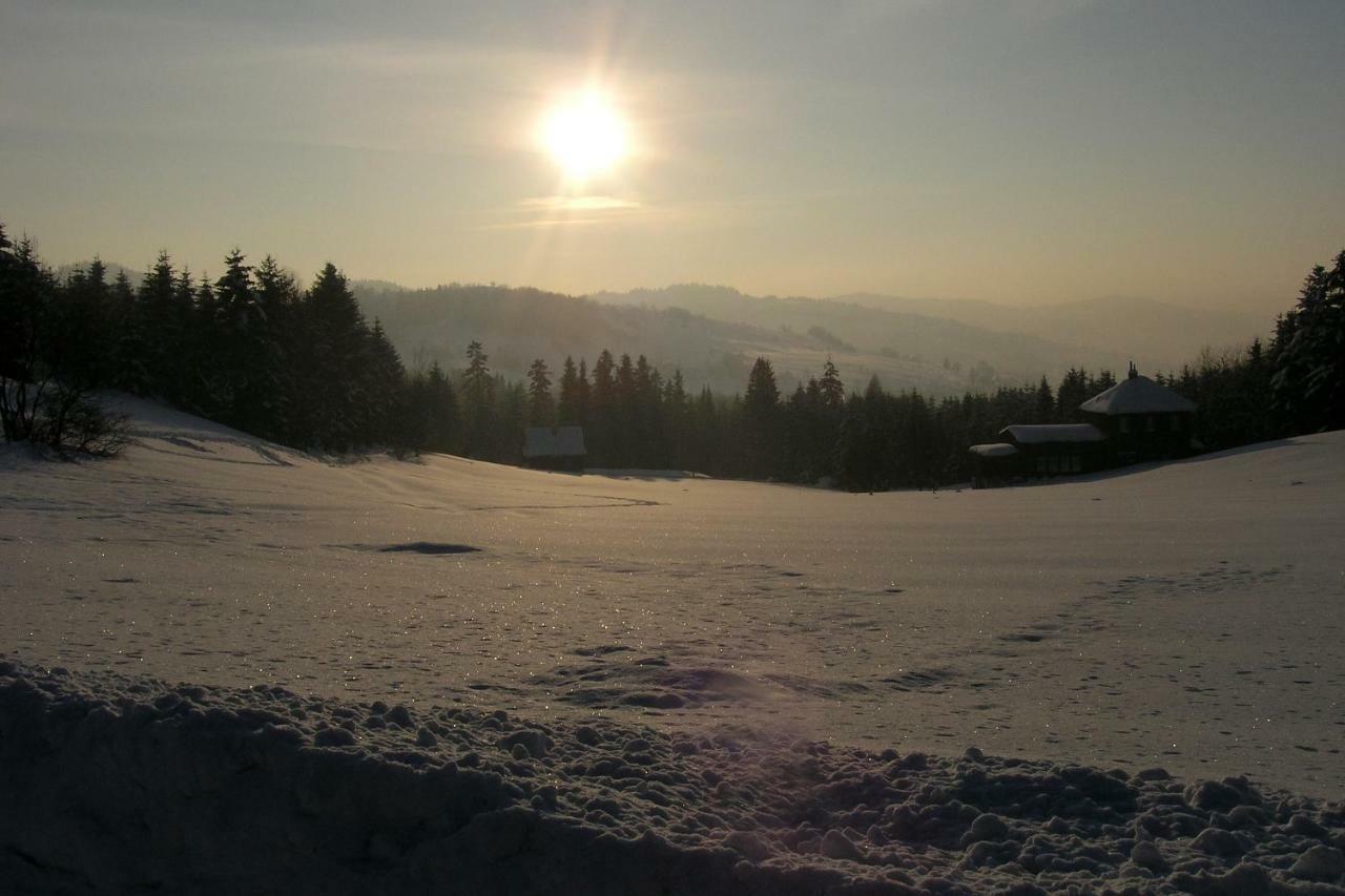 Chata U Zaby Zwardoń Exteriör bild