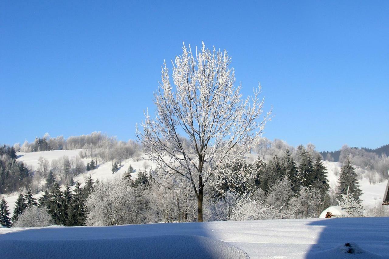 Chata U Zaby Zwardoń Exteriör bild
